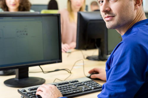 编程实例 计算一维数组下标为奇数元素的累加和